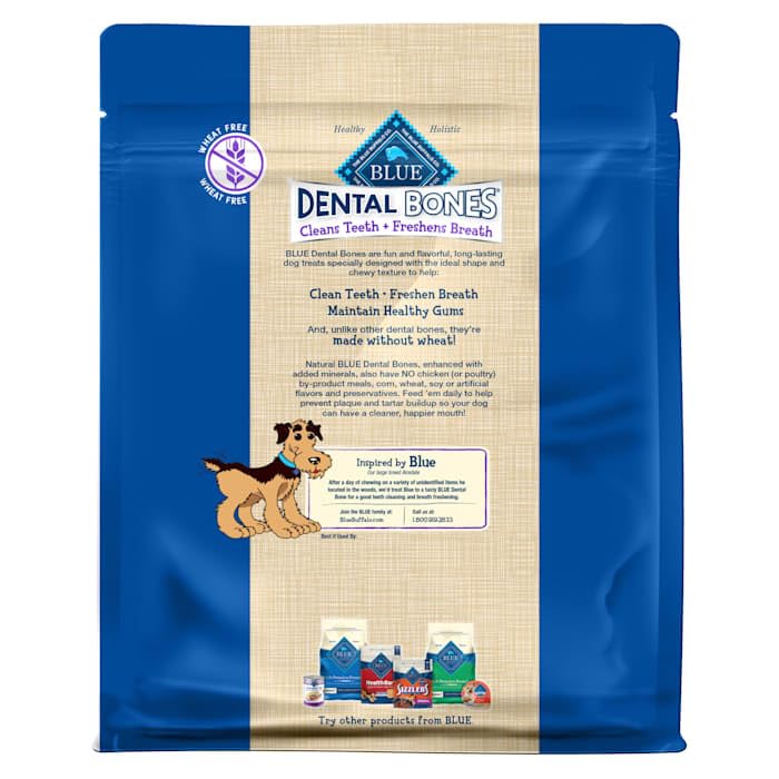 Large Dental Bones (36 Ounce (Pack of 1))