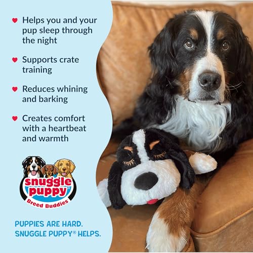 Snuggle Puppy Heartbeat Toy (Bernese / 1 Count (Pack of 1))