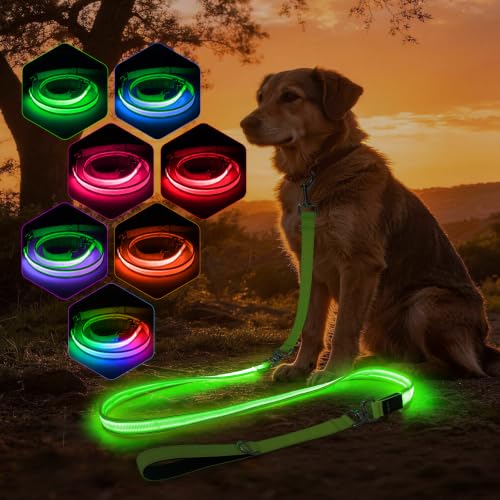 Light Up Dog Leash (Green / 6FT)