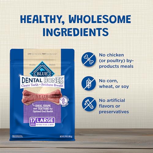 Large Dental Bones (27 Ounce (Pack of 1))