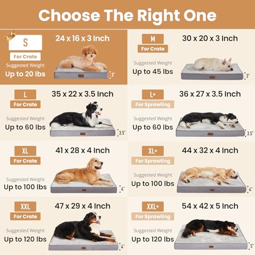 Orthopedic Waterproof Small Dog Bed (24"x 16"x 3” (For Sprawling) / 01-Gray)