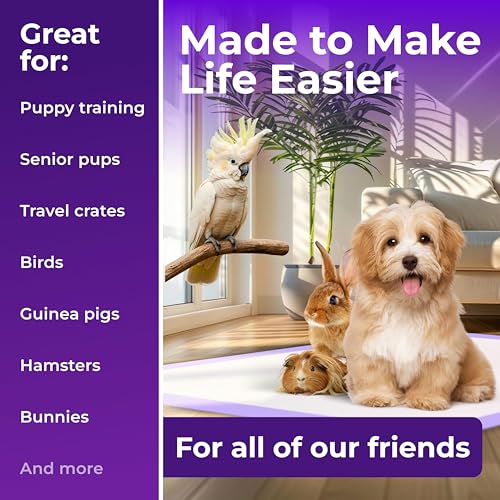 Pee Pads Super Absorbent & Leak (Purple / 40 Pack - 22x22)