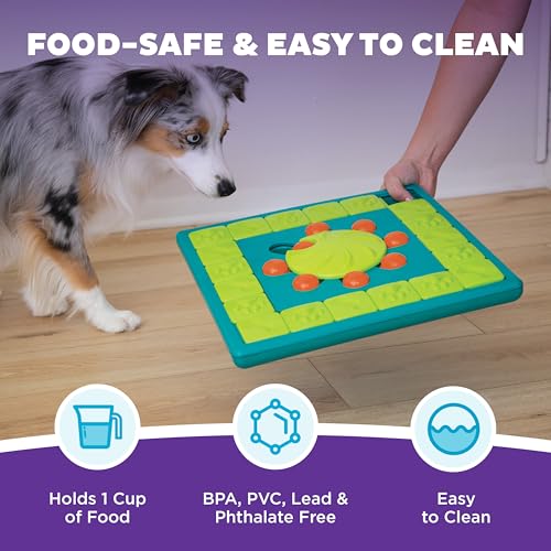 Nina Ottosson MultiPuzzle Dog Toy Treat Puzzle (Multipuzzle (Green) / 1 Count (Pack of 1))