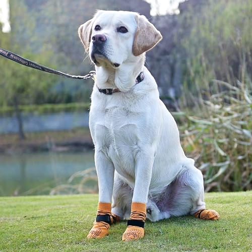 Dog Socks for Hot (Tiger Brown / Medium (4 Pack))