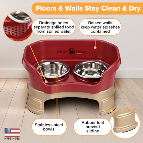Neater Feeder Deluxe Mess (Small + Standard Bowl / Cranberry)