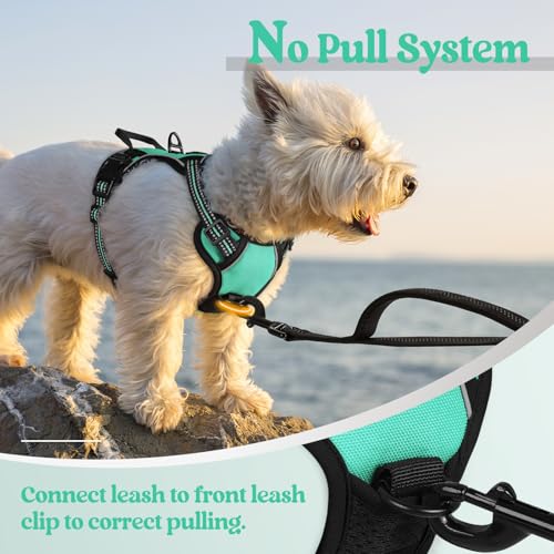 Dog Harness No Pull for Small Dogs with 2 Leash Clips (X-Small / Turquoise)