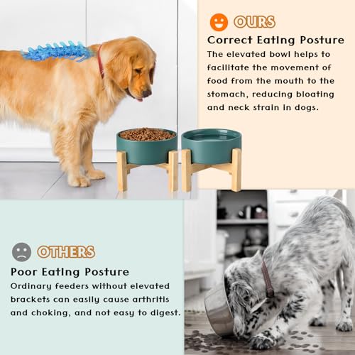 Ceramic Elevated Dog Bowls 2 Pack (Small - 1.7 CUPS*2 / Green)