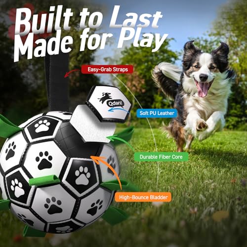 Dog Toys Dog Balls (Black Green / 6 Inch)