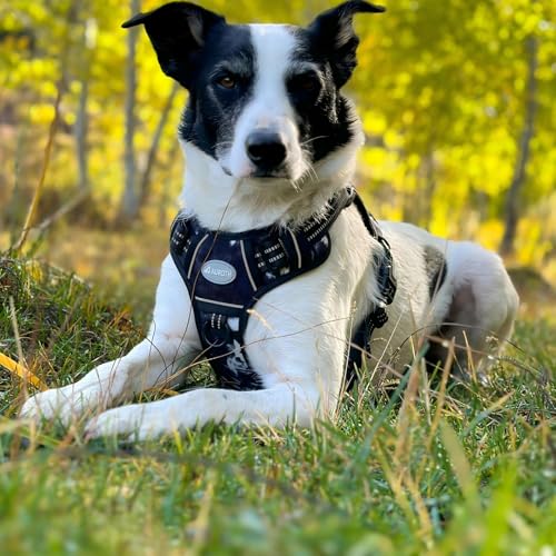 Tactical Dog Harness for Large Dogs (Black Ink / XL(Neck:20-31",Chest:26-42"),75-135 lbs)