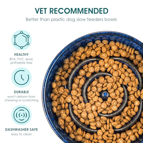 Slow Feeder Dog Bowl (L - 3 Cups / Blue)