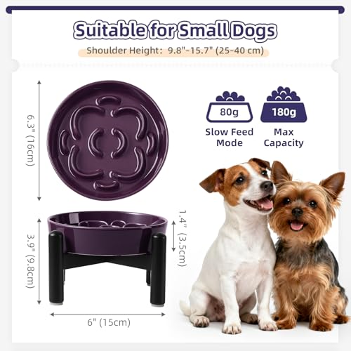 Elevated Slow Feeder Dog Bowl (Purple / S（1 Bowl with Stainless Steel Stand）)