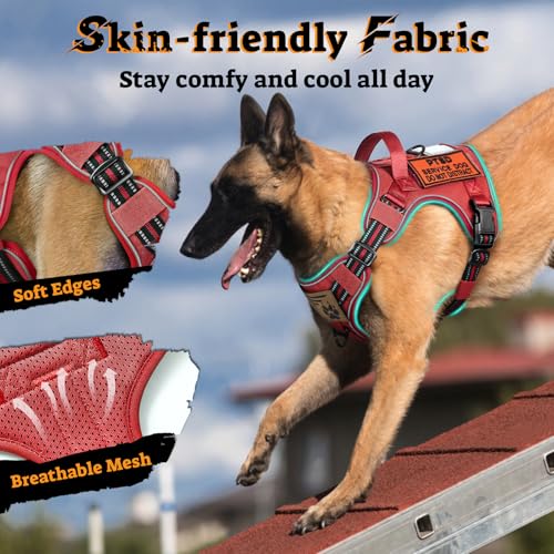 Tactical Dog Harness Medium Sized (M(chest:20.1"-33.9",neck:17.7"-22.3",back:7.5") / Red)
