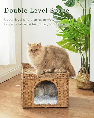 Cat Beds Indoor Kitten House (Natural / Rectangle-M)