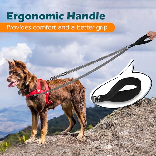 Two Point Control Dog Leash (Grey)