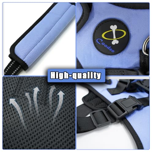 Dog Lift Harness for Large Dogs (Blue / XL)