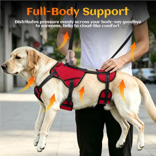 Dog Lift Harness (Red-2 / Medium)