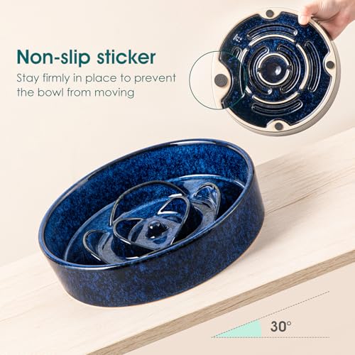 Slow Feeder Dog Bowl (M - 1.5 Cups / Blue)