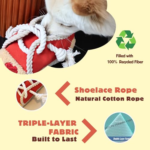 2 Pack No Stuffing Squeaky Dog Toys for Small (Shoes Rope)