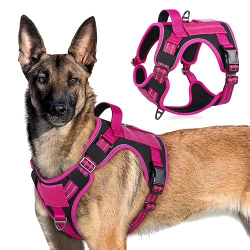 Tactical Dog Harness for X (Black & Rose Red / X-Large)