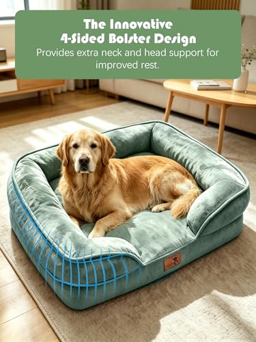 Orthopedic Dog Bed with Sides (42.0"L x 32.0"W x 6.5"Th / Green)
