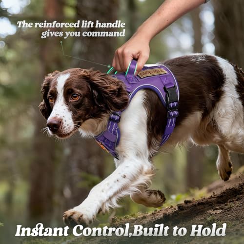 Tactical Dog Harness for Large Dogs (L(Chest:22"-37",Neck:21.1"-30.3",Back:8.3") / Purple)