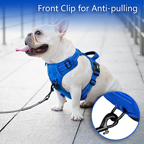 No Pull Dog Harness (Large / Royal Blue)