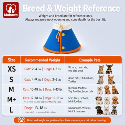 Soft Dog Cone Collar for Dogs & Cats (Blue / XS)