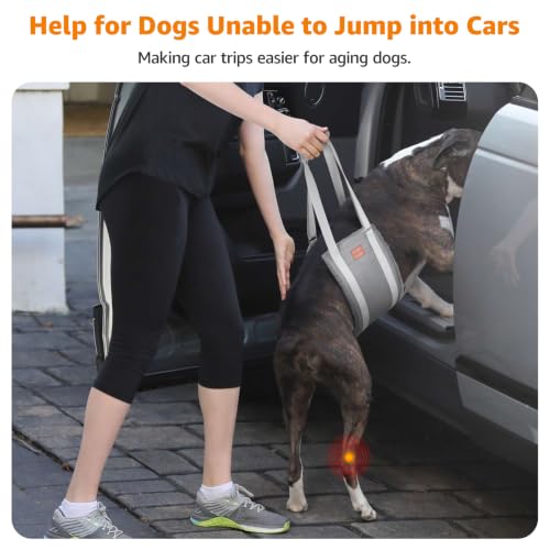 Dog Sling for Large Dogs Hind Leg Support Injury Rehabilitation (Grey&Grey / Large)