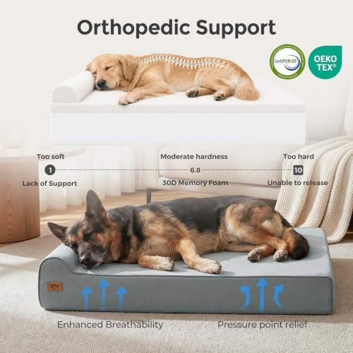 XXL 35D Memory Foam Dog Bed for Extra Large Dogs (XX-Large / Light Blue)