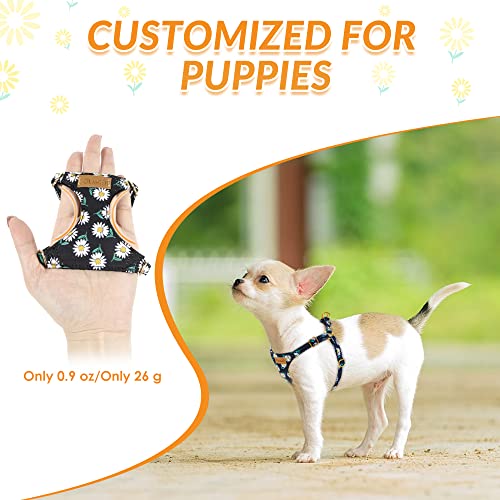 No Pull Dog Harness with Leash for Small Medium Dogs (X-Small(6-11lb) / Black Daisy)