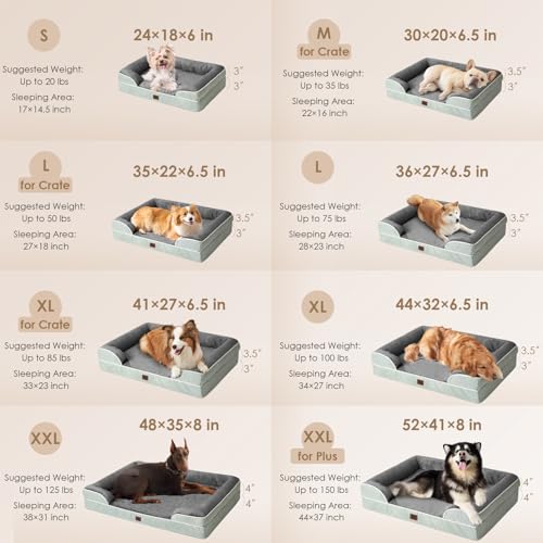 Orthopedic Dog Beds Large Sized Dog (Greyish Green / 35.0"l X 22.0"w X 6.5"th)