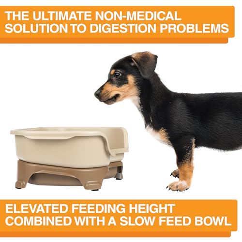 Express Mess Proof Dog Bowls Elevated for Small Breeds Under 15 Lb (Small w/ Metal Slow Feed Bowl / Cappuccino)