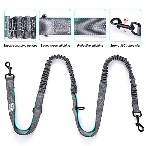 Retractable Hands Free Dog Leash with Dual Bungees for 2 Dogs (Gray)
