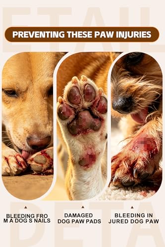 Dog Paw Wound Recovery Boot with Self (M)