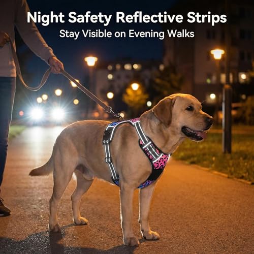 No Pull Dog Harness (Neon Leopard Print / Medium)