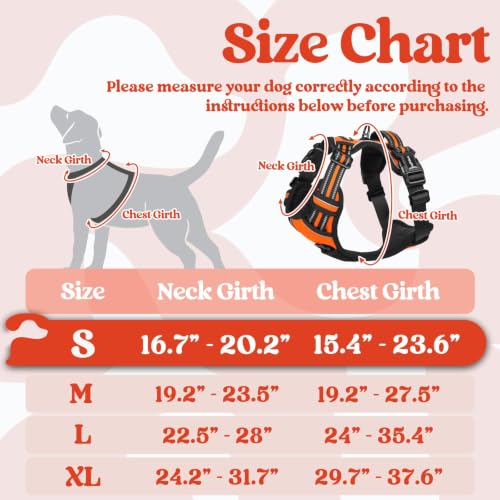 Dog Harness Small Sized (Small / Orange)