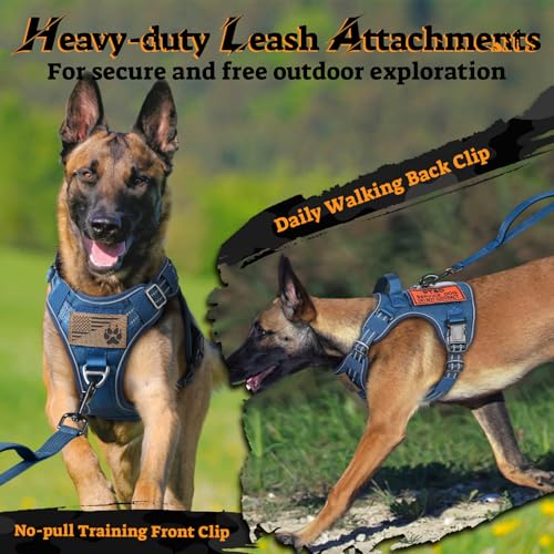 Tactical Dog Harness Medium Sized (M(chest:20.1"-33.9",neck:17.7"-22.3",back:7.5") / Blue)