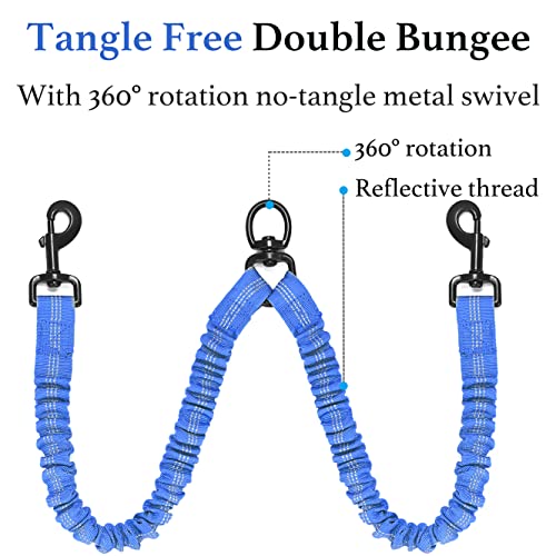 Double Dog Leash (Royal Blue / Large)