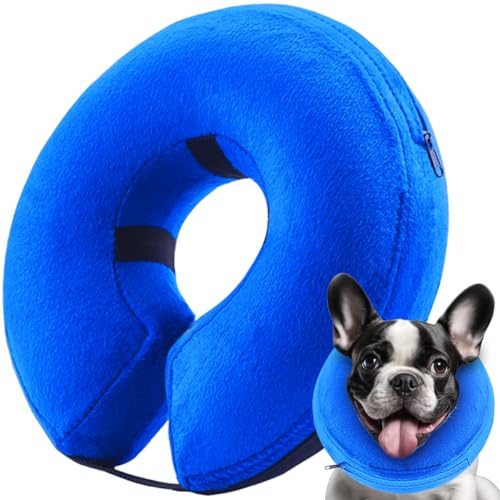 Inflatable Dog Cone Collar (Blue / Large [Neck: 13"-18"])