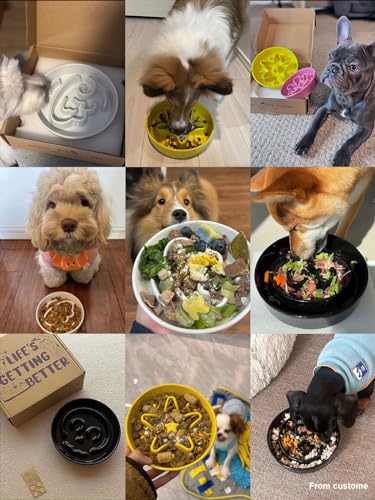 Ceramic Slow Feeder Dog Bowls Small Breed (Star Yellow / S-0.6 Cups)