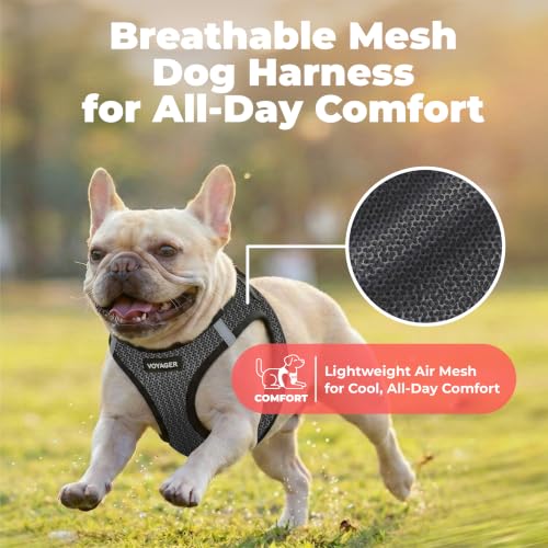 Voyager Step in Air Dog Vest Harness (Gray 2-Tone / L (Chest: 18 - 20.5"))