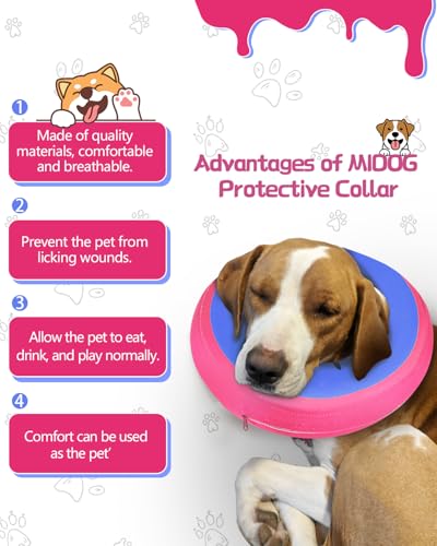 Inflatable Dog Cone (PinkBlue / XS(6"-9"))
