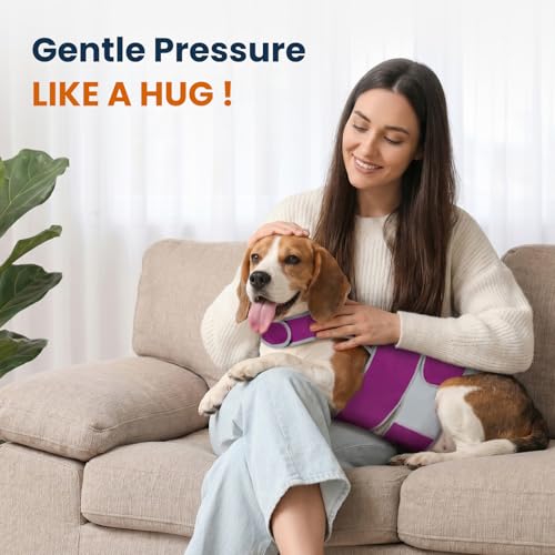 Dog Anxiety Relief Calming Vest (Purple / L)