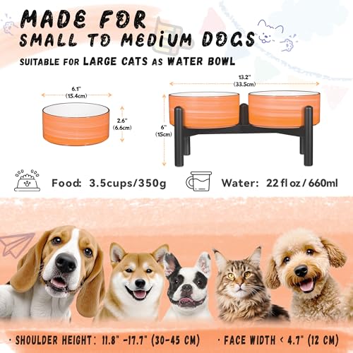Ceramic Elevated Dog Bowl Set (Thread Orange / 3.5 Cups)