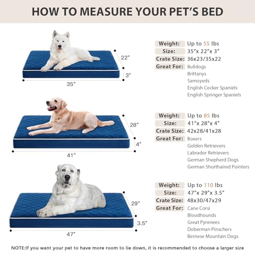 Orthopedic XXL Dog Beds for Large Senior Dog Bed Comfy Sleeping (Blue / 47"L x 29"W x 3.5"Th)