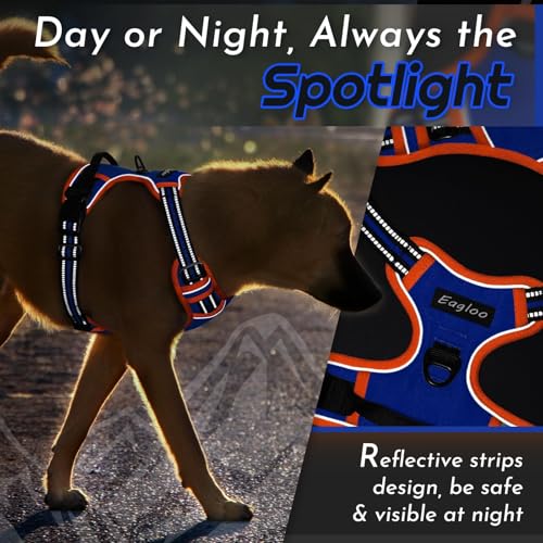 Dog Harness for Medium Sized Dogs (Medium / Blue & Orange)