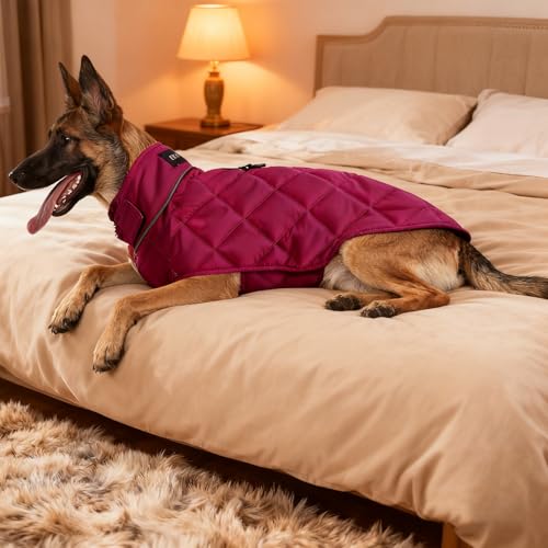Weighted Dog Vest (Red / Small)