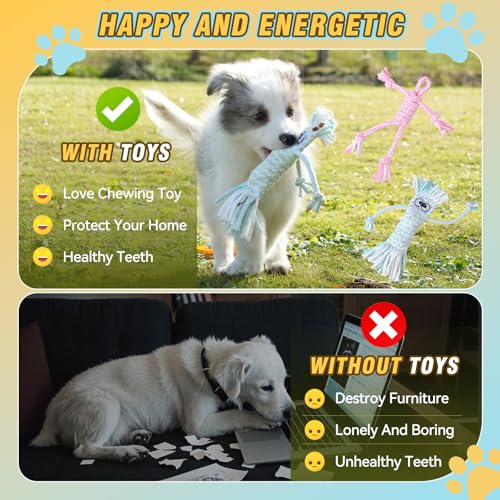 Dog Rope Toys for Small