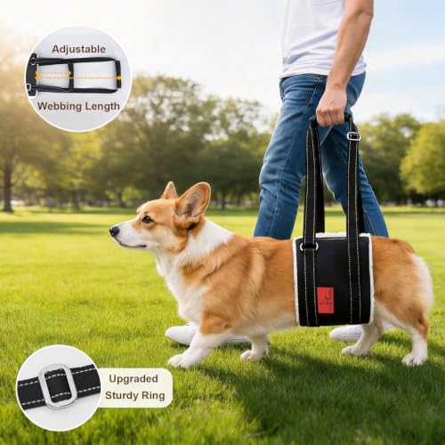 Leather Dog Lift Harness for Small Dogs (S)