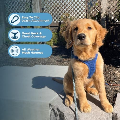 Voyager Step in Air All Weather Mesh Harness and Reflective Dog 5ft Leash Combo with Neoprene Handle (Royal Blue / XXS (Chest: 12 - 13.5"))